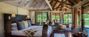 13 river room 2 safari lodge