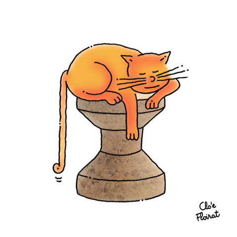 corkstoolcat
