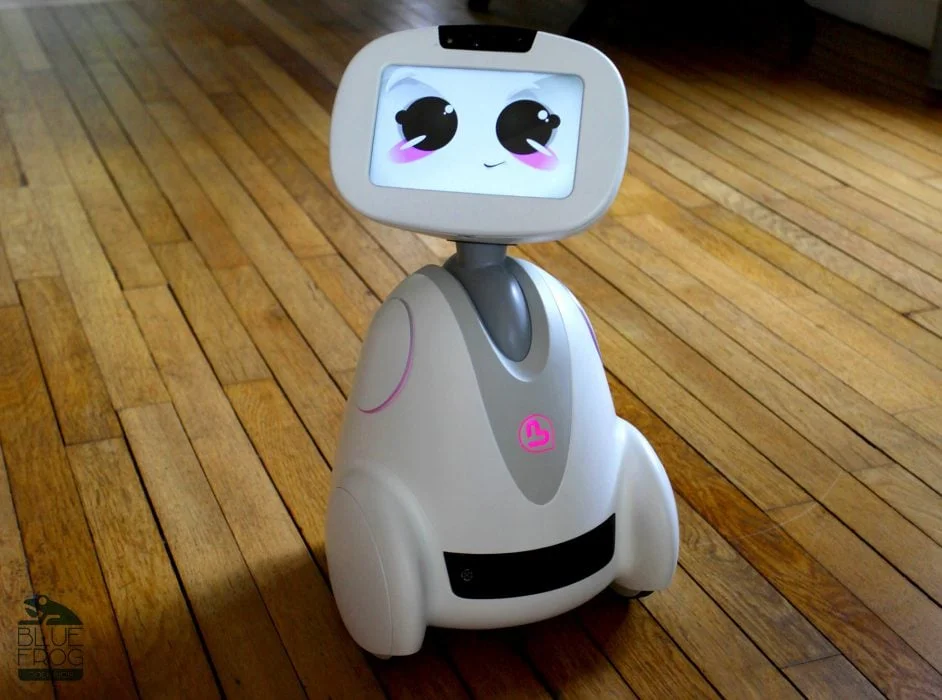 BuddyRobot