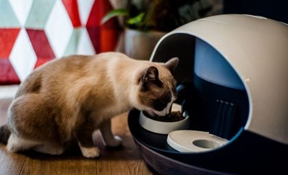 catspad dispenser x kiri 1 catspad