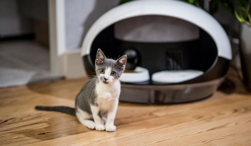 bobine catspad