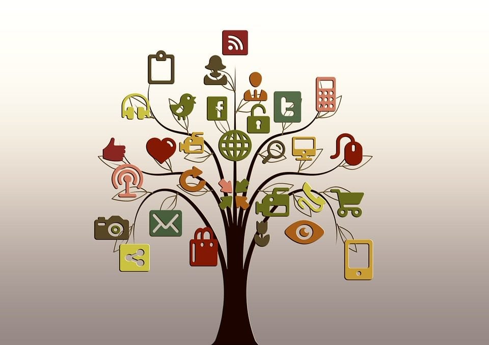 social web