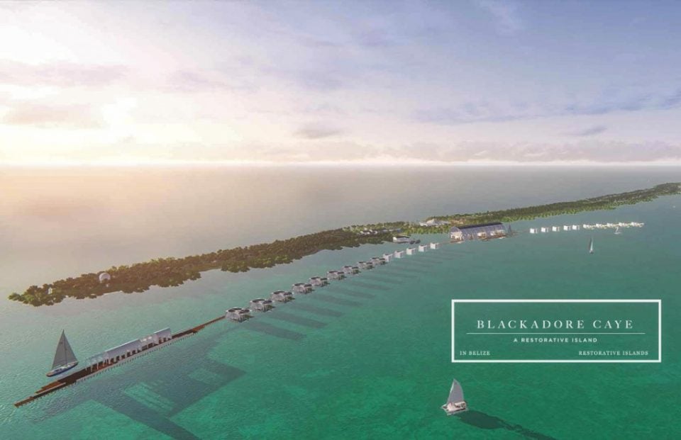 dicaprio-blackadore-caye-restoration-project-dicaprio-eia-consultation-15