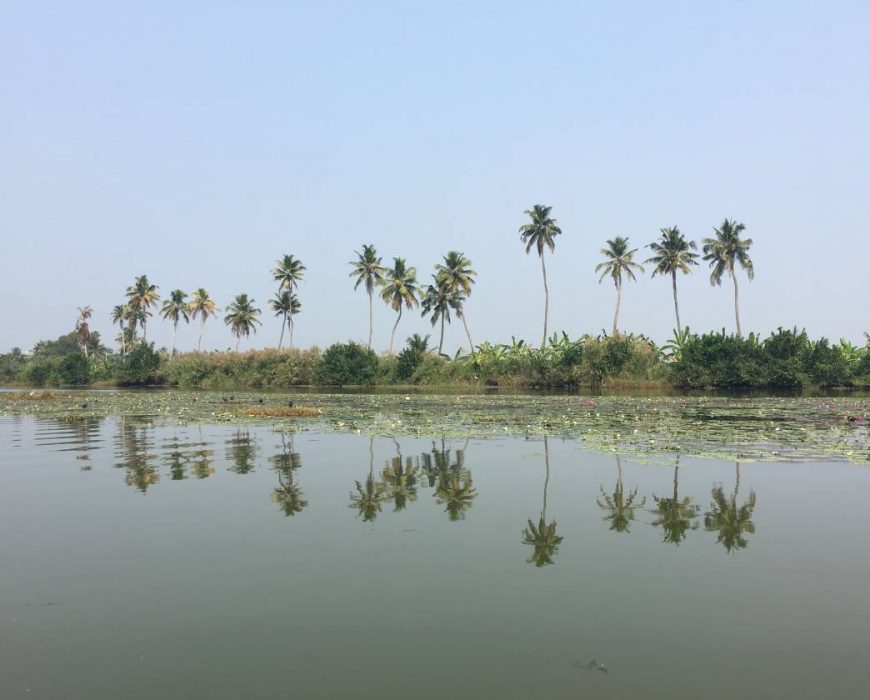 backwaters 2