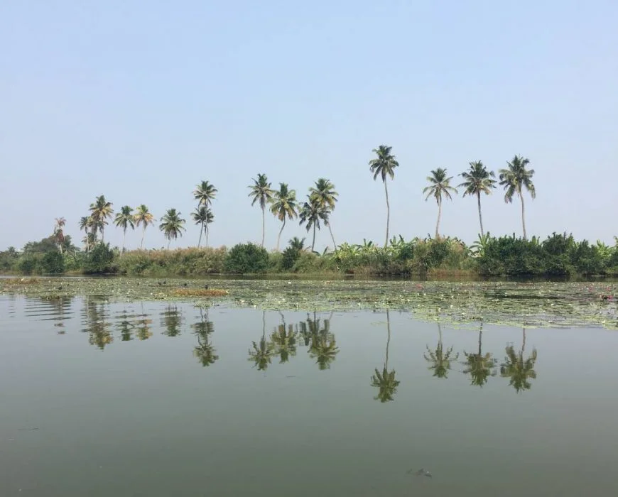 backwaters 2