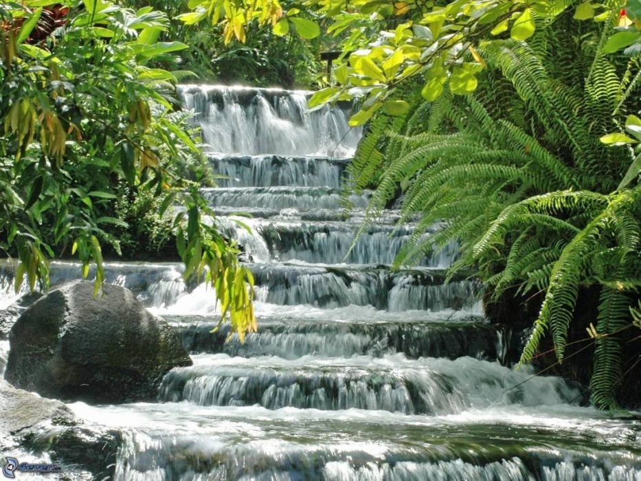 cascade fougere 222719