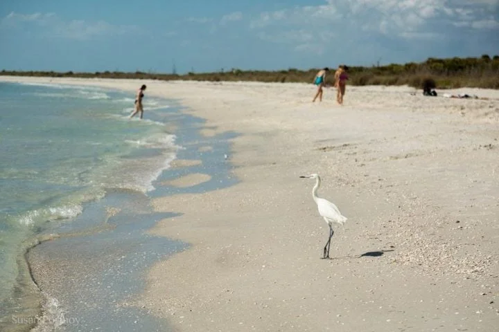20 cayo costa floride susan portnoy e1498844698955