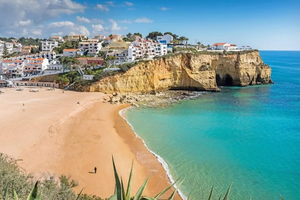 couv carvoeiro