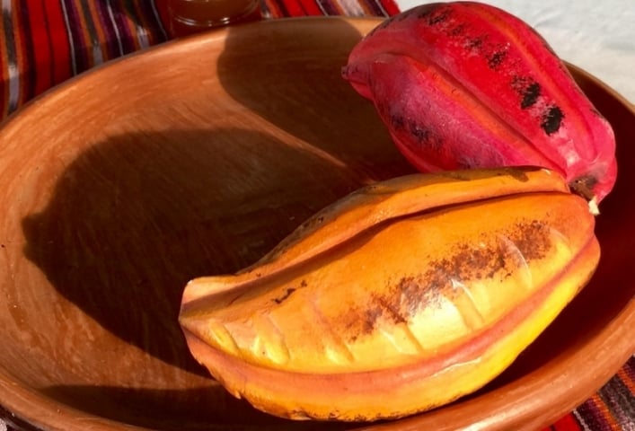 les cabosses de chocolat