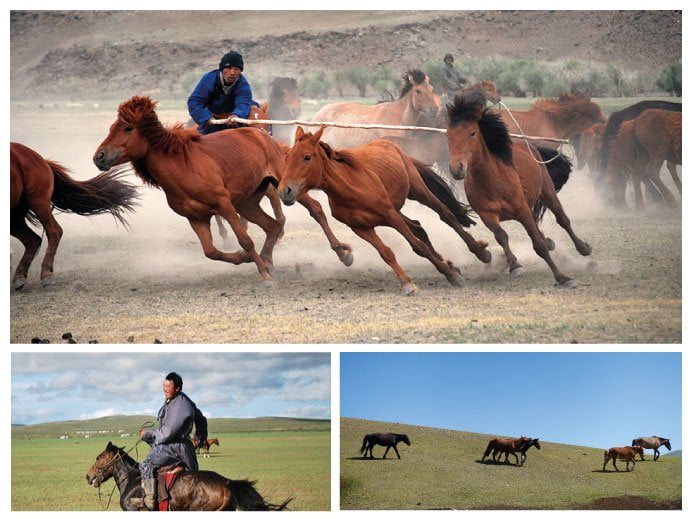 1 mongolie au pays des ames libres plumevoyage plumevoyagemagazine cecile sepulchre