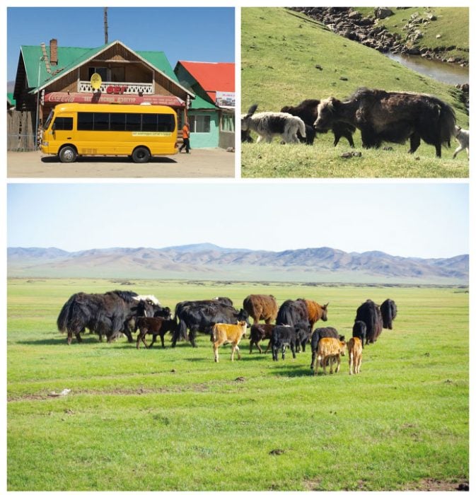 4 mongolie au pays des ames libres plumevoyage plumevoyagemagazine cecile sepulchre