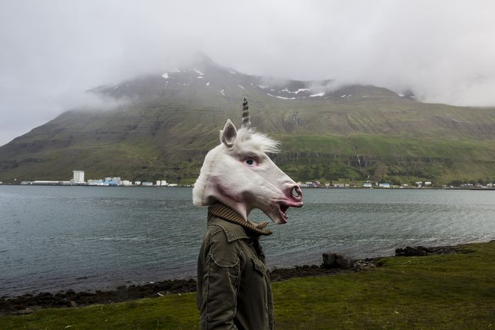 Une licorne en Islande / Getty Images