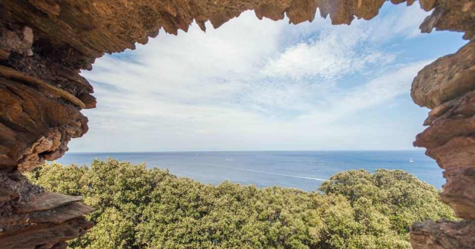 portfolio nature 9