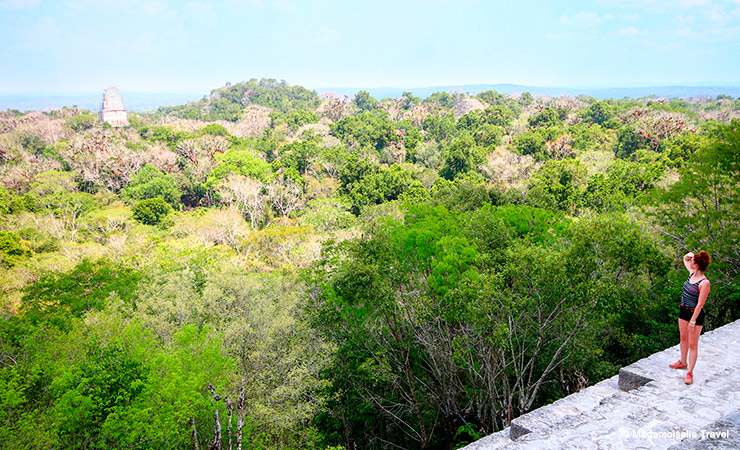 tikal vue du temple jungle mademoiselle travel 1