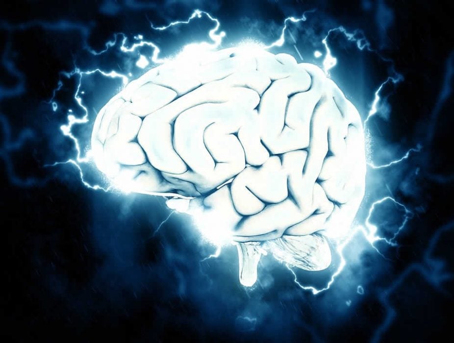 cerevau