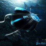 aronax small 1