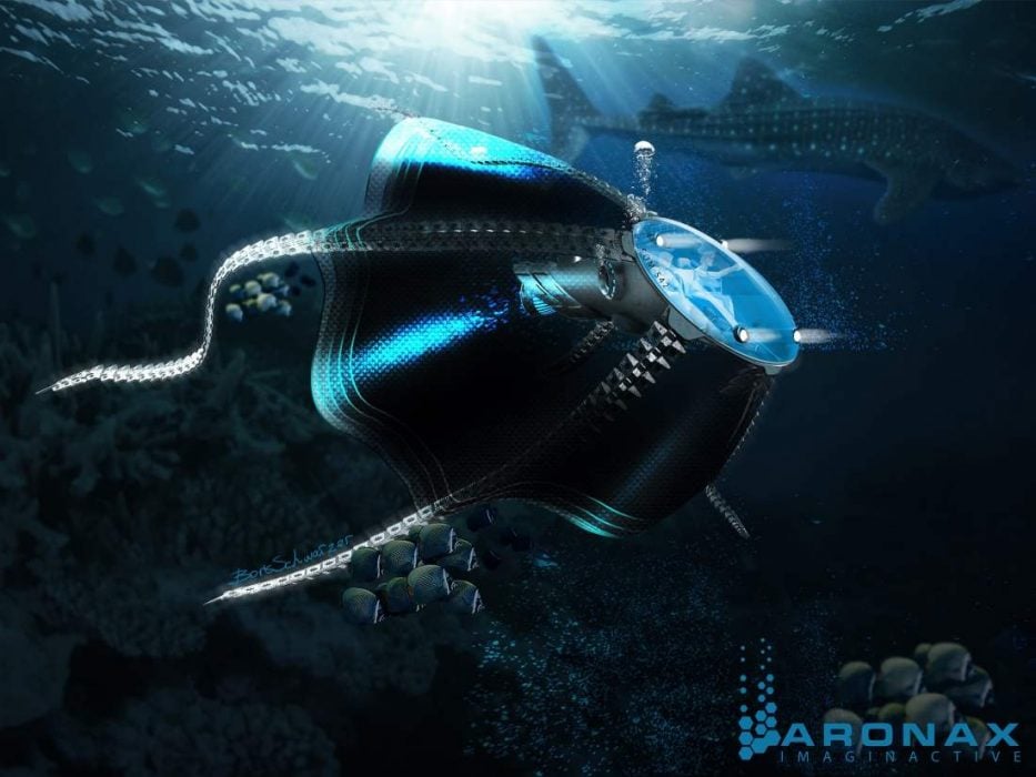 aronax small 1