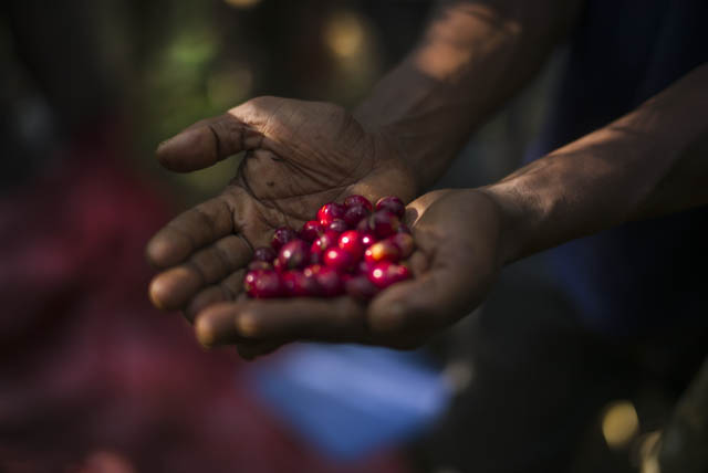 ethiopie 9