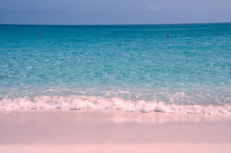 Pink Sands Beach