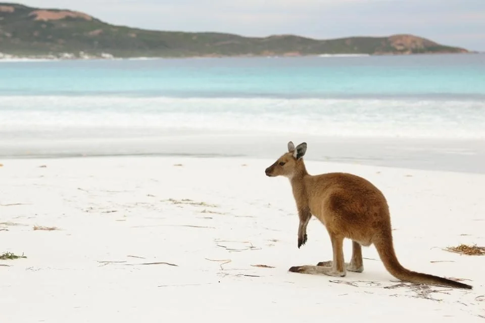 Lucky Bay