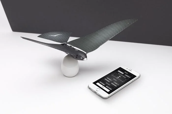 bionic bird app
