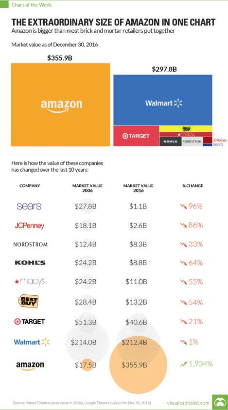 taille amazon infographie