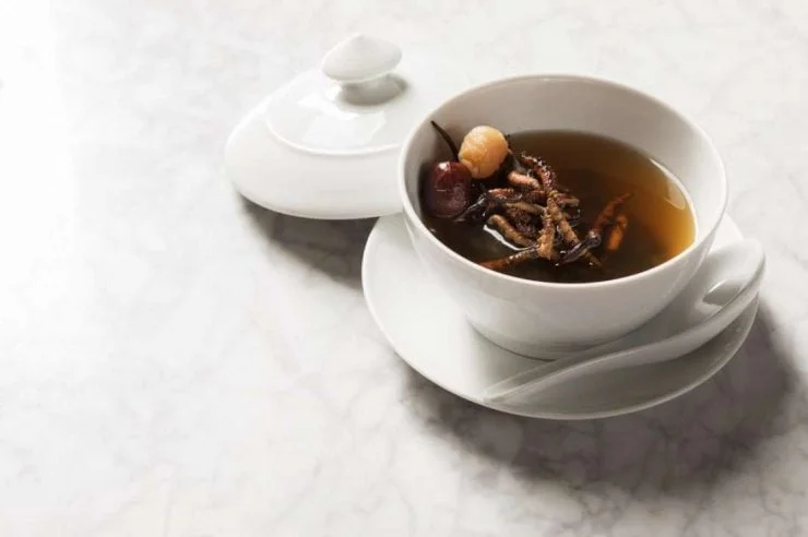 688 soup vegas swanky caterpillar fungus soup