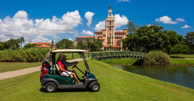 biltmore 24