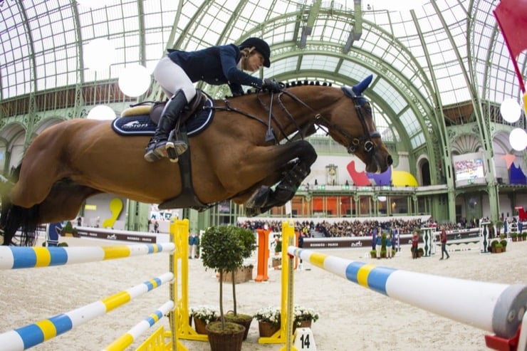 edwina tops alexander lintea tequila