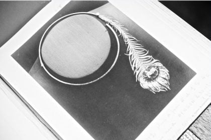 plume de paon archive