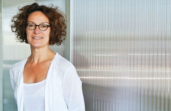 stephanie savel presidente