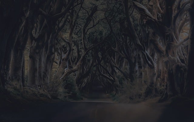 trees 3687370 640