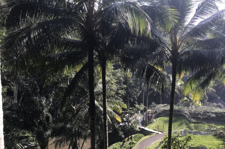 bali9