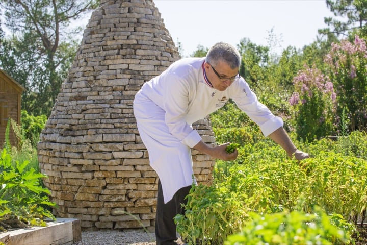 chef jardin 1