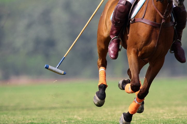 polo