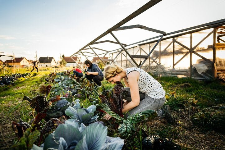 agriculture