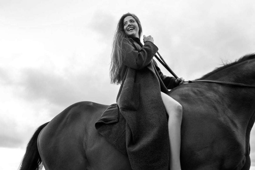 horse