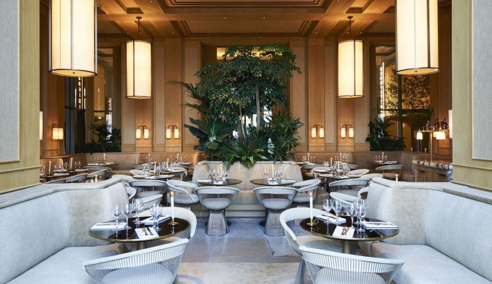 hp1 restaurant girafe paris news parisiennes novembre 2018 plume voyage magazine plumevoyage plumevoyagemagazine plumevoyage adrien dirand