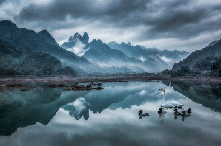 chine jichang lio chine