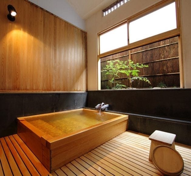 hotspring pic 10 l
