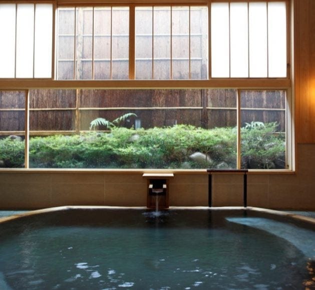 hotspring pic 13 l