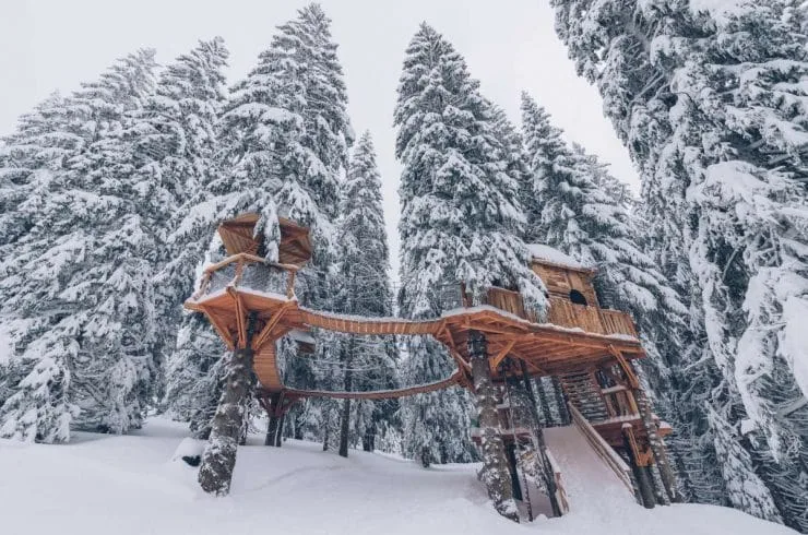 lic bouchet avoriaz180041