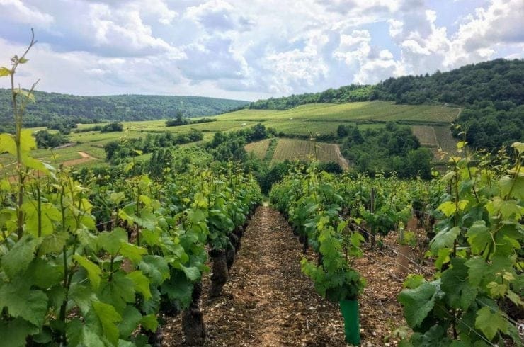 parcelle a saint romain bourgogne