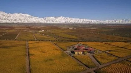 Ces Vignerons Français Qui S'Expatrient 9 clos de los siete 7 fall 2