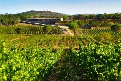 Ces Vignerons Français Qui S'Expatrient 5 dsc 2043 jf terra remota