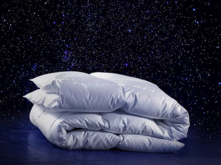 Oreiller souple duvet d'oie Impérial 90%