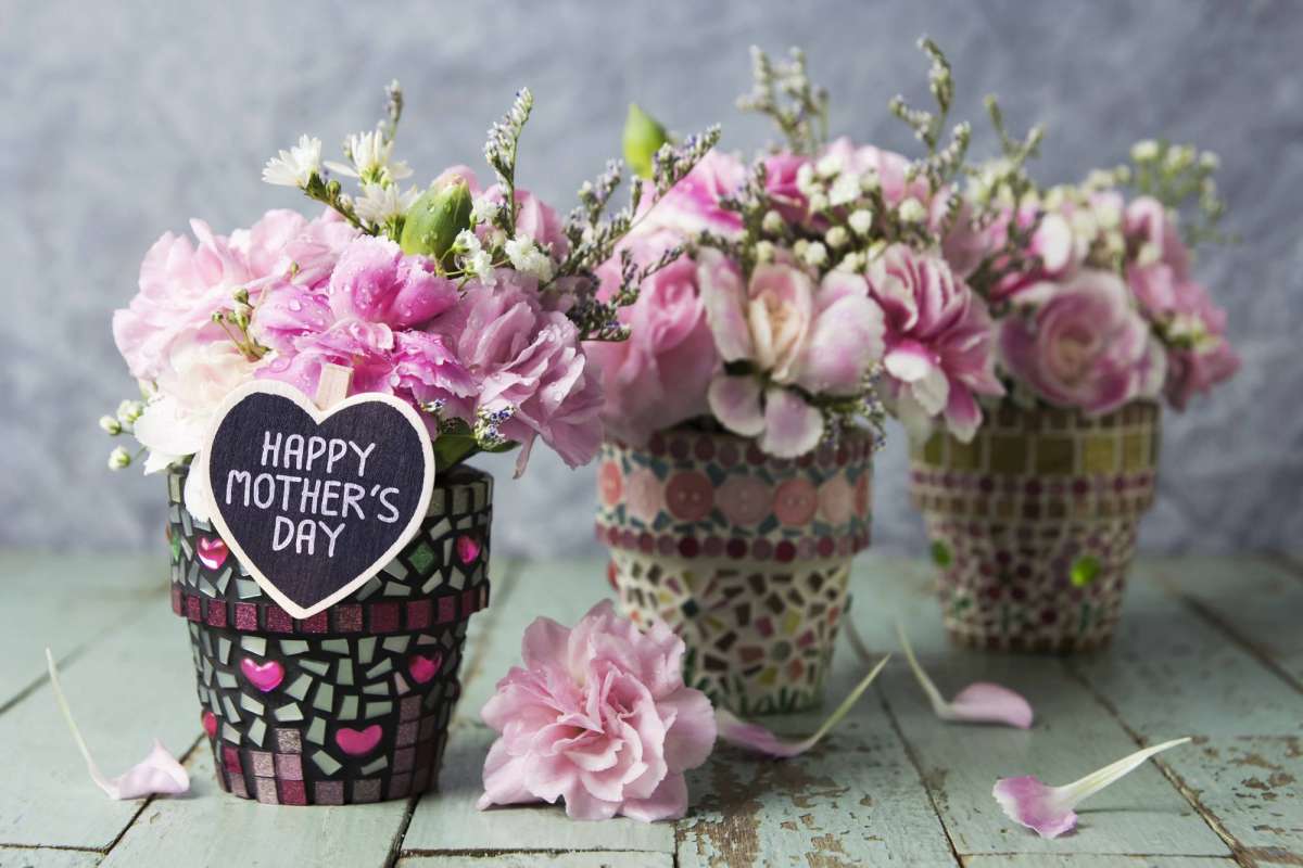 Quelles Fleurs Offrir A L'Occasion De La Fête Des Mères ...