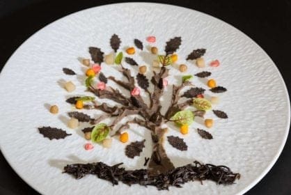 arbre truffe1jeanmichellorain