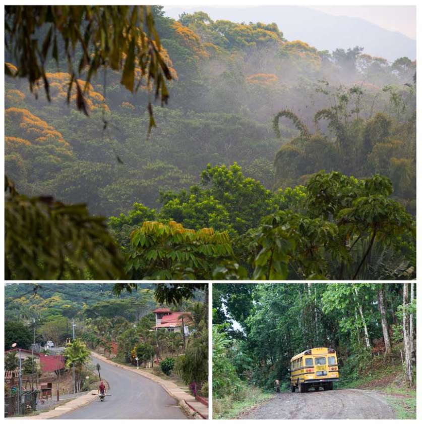 2 une balade au costa rica une balade avril 2019 plume voyage magazine plumevoyage plumevoyagemagazine plumevoyage francoise spiekermeier