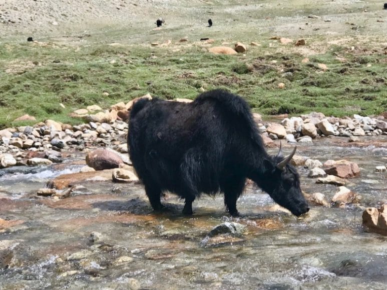 Ladakh